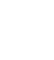 Opzioni di investimento guidate